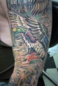 Цветна цветна рака патка во шумски тетоважа