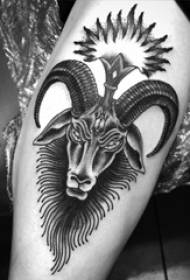 European calf tattoo male shank on black goat tattoo picture