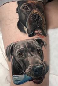 European and American calf tattoo male shank on colored puppy tattoo pictures