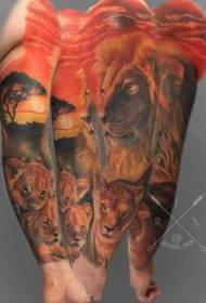 rankos spalvos tikroviško liūto tatuiruotės modelis