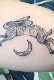 small animal tattoo girl calf On the moon and rabbit tattoo pictures
