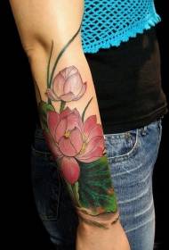 braso Kulay banayad na kulay rosas na lotus tattoo pattern
