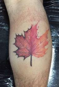 Maple leaf tattoo pictures boys calves on maple leaf tattoo pictures
