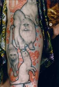 arm realistic style funny cat tattoo pattern