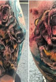 Tattoo Tiger Poisid vasikad värvilistel tiigrite tätoveeringu piltidel