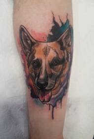 štene tetovaža slika mužjak nož štenad tetovaža slika