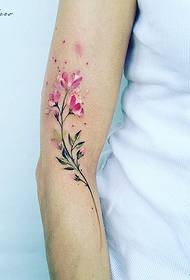 brako malgranda freŝa flora koloro tatuaje ŝablono