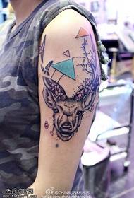 arm thorns European and American style deer head tattoo pattern