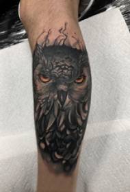 Tattoo owl male shank Owl tattoo sawir