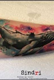 Whale tattoo girl whale tattoo picture on arm