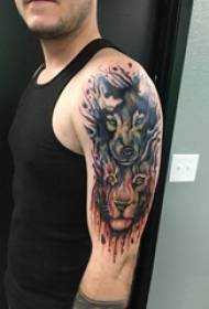 Chàng trai vẽ tay màu nước phác thảo giật gân mực độc đoán hình ảnh sói và sư tử