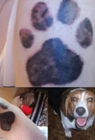 Pes dráp tetování dívka pes paže tlapa tetování roztomilý vzor