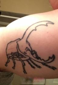 Schoolboy arm on black minimalist line creative insect tattoo picture
