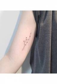 Tyttö käsivarsi mustalla linjalla kirjallinen pieni tuore kimppu tatuointi kuvaa