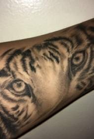 Baile animal tattoo male student arm sa itim na tiger tattoo na larawan