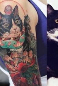 Kitten tattooê keçikê tattooê li ser milê keçikê