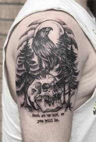 Drengearme på sortgrå skitse Sting Tips Creative Eagles Tattoo Pictures