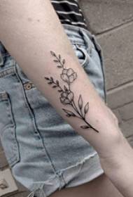 سیاہ بھوری رنگ کا نقطہ کانٹا سادہ لائن پر چھوٹی تازہ پودوں کے پھول ٹیٹو تصویر پر لڑکی کا بازو