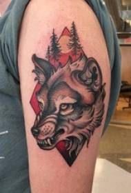 Учителска рака ја насликал акварелната скица, хорор, волчица, слика за тетоважа