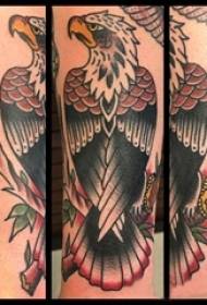 Rankos tatuiruotės medžiaga, vyro erelio tatuiruotės paveikslas ant rankos
