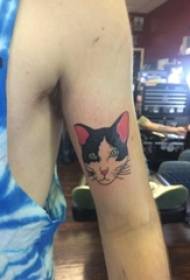 Materiale del tatuaggio del braccio, braccio del ragazzo, immagine colorata del tatuaggio del gatto