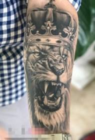 Braço de meninos na foto de tatuagem de leão preto e branco técnica de picada de animal