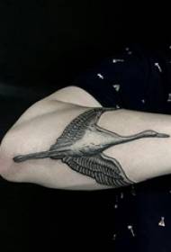 Boy's arm on black gray point thorn simple line small animal white crane tattoo picture