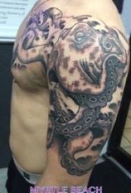 Баланын Black Gray Эскиз Стинг шарттары аким Octopus Animal тату-беттеги сүрөт Кудайдын Arms