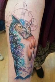 Тату сова дівчина сова на кольорові руки татуювання малюнок