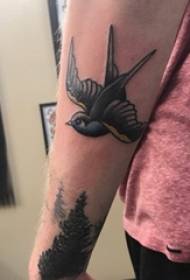 Pequeño pájaro 3d tatuaje brazo de estudiante masculino en imagen de tatuaje de pájaro de color