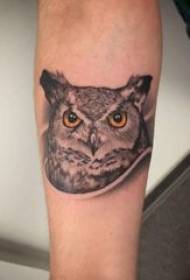 Tattoo owl girl owl on black arm tattoo picture