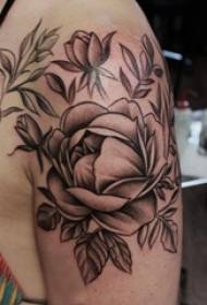 Gadis lengan pada sketsa hitam abu-abu titik duri keterampilan kreatif sastra gambar tato bunga chic