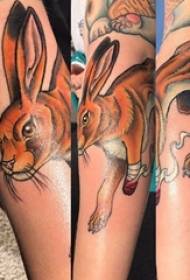 لوب أرنب وشم فتاة ملونة أرنب وشم صورة على ذراع الفتاة