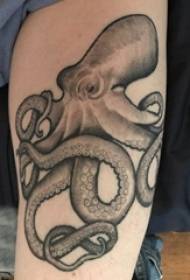Dzanja lakuda la octopus tattoo wamwamuna wamkazi pa chithunzi wakuda wa octopus