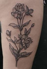 Siyah dövme çiçek deseni edebi çiçek dövme kız kolunda