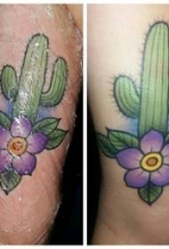 Дівчина руку намальовані аквареллю ескіз літературні красиві татуювання квітка кактус квітка