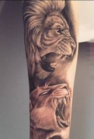 Male student arm on black brown sketch lion tattoo picture