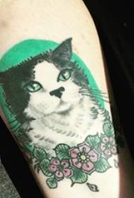 Braço de menino gato tatuagem pequeno fresco na foto de tatuagem de flor e gatinho