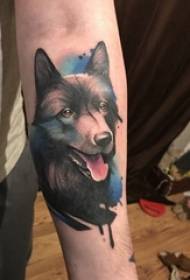 Boys arms painted watercolor simple lines small animal dog tattoo pictures