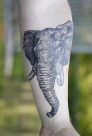 Schoolboy arm on black sketch creative animal elephant tattoo picture