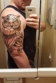 Boys Arms on Black Grey Sketsa Sting Tips Creative Domineering Owl Tattoo Picture