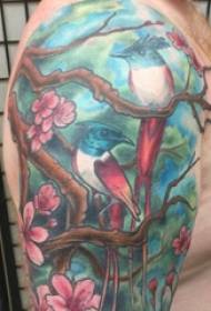 Τατουάζ αρσενικό φοιτητής πάνω από την τέχνη λουλουδιών τατουάζ εικόνα πουλιών