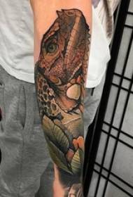 Crocodile tattoo male arm on domineering crocodile tattoo picture