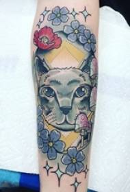 Vajza e krahut të vajzës pikturuar skicë me bojëra uji bukurie me tatuazhe të lezetshme për mace
