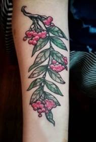 Schoolgirl arm painted on gradient simple lines plant leaves and fruit tattoo pictures