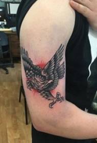 Padrão de tatuagem de águia, braço masculino, padrão de tatuagem de águia