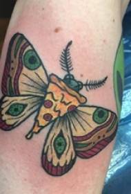 手臂上彩绘个性小动物蝴蝶纹身图片