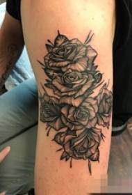 Les bras sur les lignes abstraites de style gris noir et blanc piquent des astuces végétales matériel fleurs images de tatouage