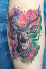 Deer head tattoo male arm on deer head tattoo picture
