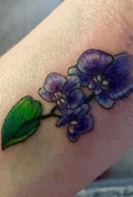 Krāsu ziedu tetovējuma raksts meitene ziedu krāsu ziedu tetovējuma raksts